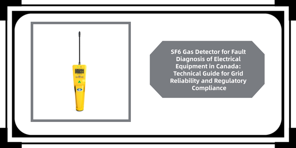 SF6 Gas Detector for Fault Diagnosis of Electrical Equipment in Canada
